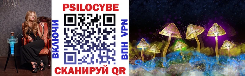 Купить  Великий Устюг  Псилоцибиновые грибы мицелий 