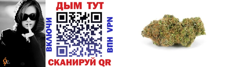 Купить  Великий Устюг  МАРИХУАНА SATIVA & INDICA 